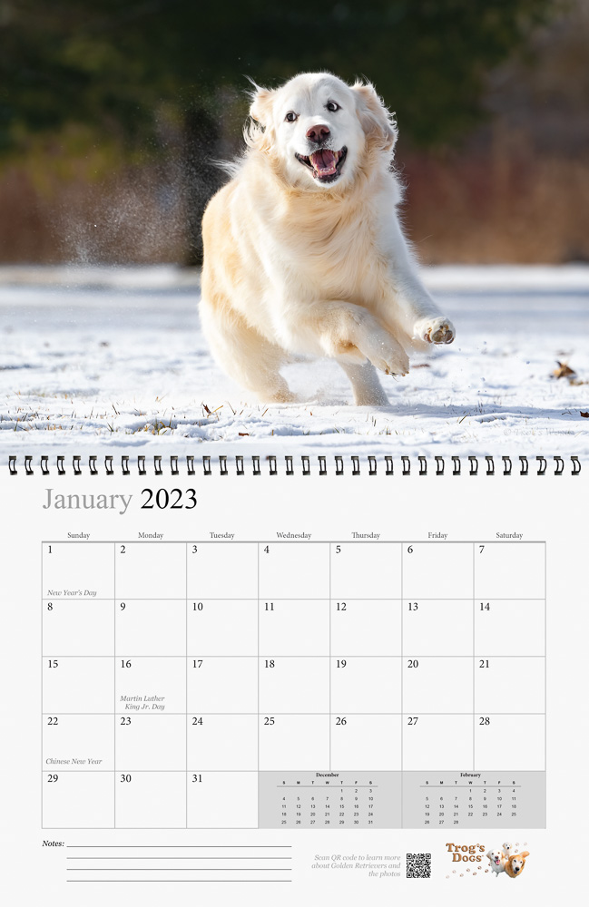 Trog's Dogs - Golden Retrievers Wall Calendar 2023
