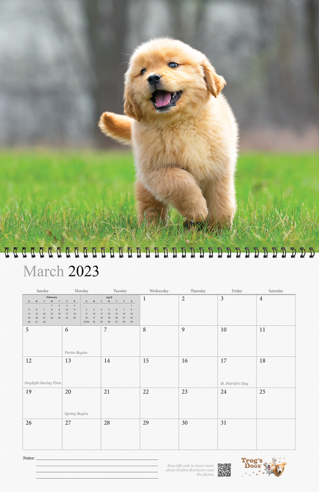 Trog's Dogs - Golden Retrievers Wall Calendar 2023