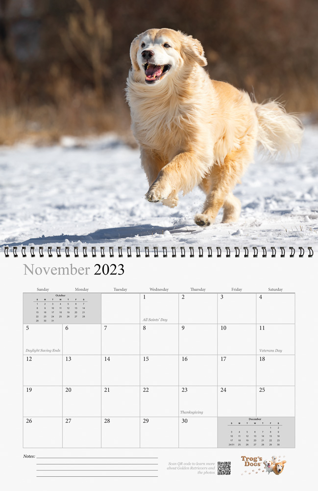Trog's Dogs - Golden Retrievers Wall Calendar 2023