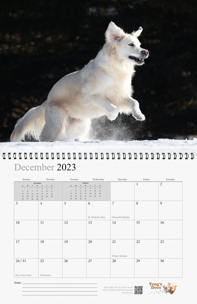 Trog's Dogs - Golden Retrievers Wall Calendar 2023