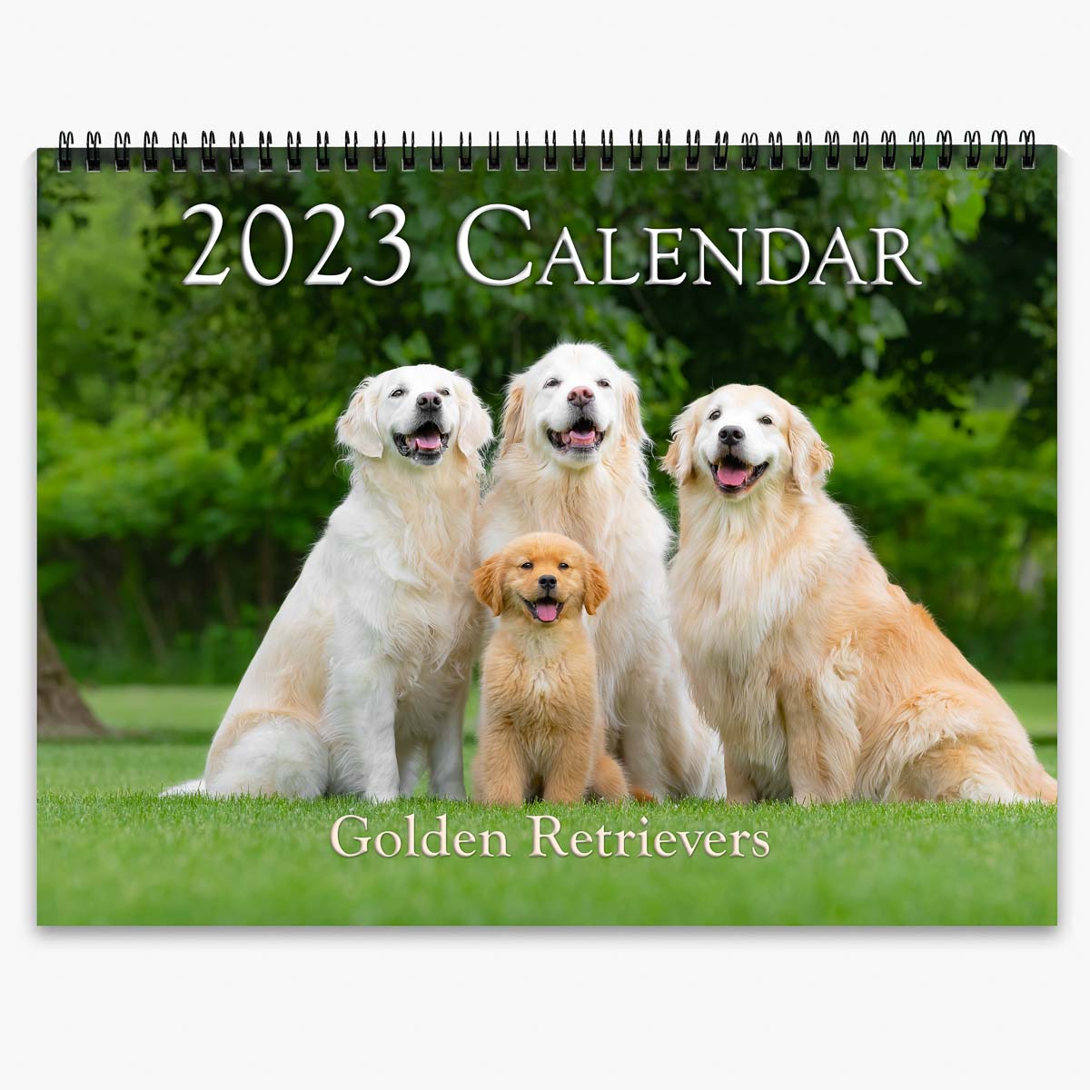 Trog's Dogs - Golden Retrievers Wall Calendar 2023